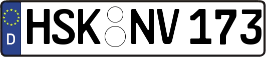 HSK-NV173