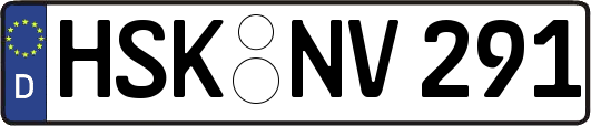 HSK-NV291