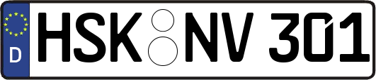 HSK-NV301
