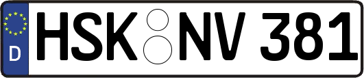 HSK-NV381