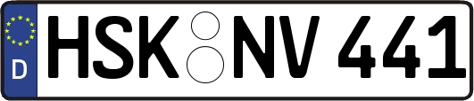 HSK-NV441