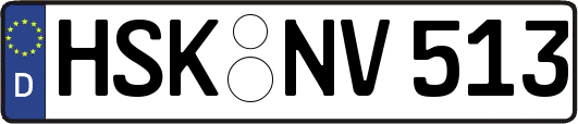 HSK-NV513