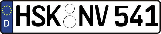 HSK-NV541