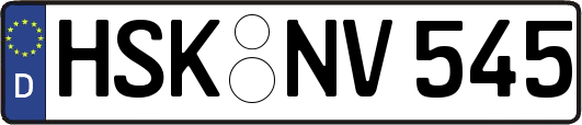 HSK-NV545