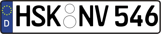 HSK-NV546