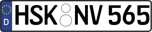 HSK-NV565