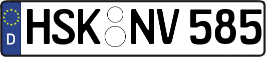HSK-NV585