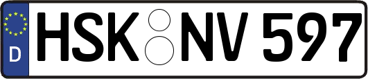HSK-NV597