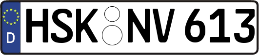 HSK-NV613