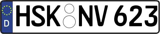 HSK-NV623