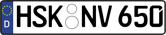 HSK-NV650