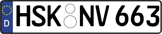 HSK-NV663