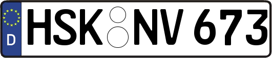 HSK-NV673