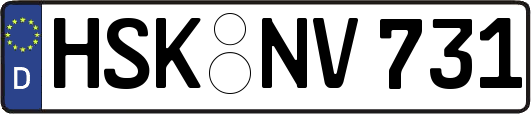 HSK-NV731