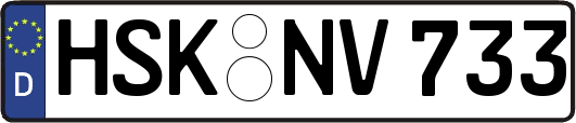 HSK-NV733