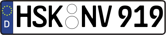 HSK-NV919