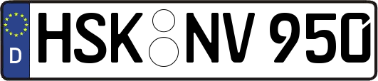 HSK-NV950