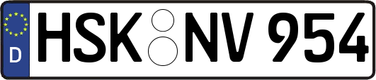 HSK-NV954