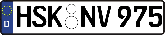 HSK-NV975