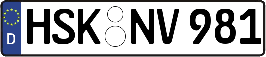 HSK-NV981