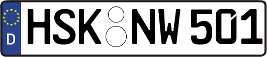 HSK-NW501