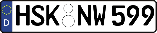 HSK-NW599