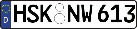 HSK-NW613