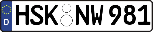 HSK-NW981