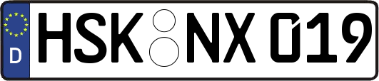HSK-NX019