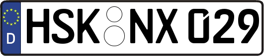 HSK-NX029