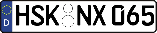 HSK-NX065