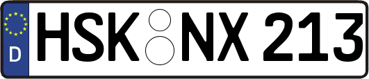 HSK-NX213