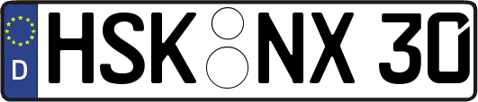 HSK-NX30