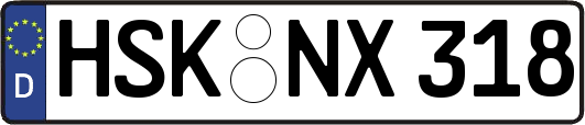 HSK-NX318