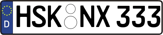 HSK-NX333