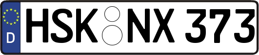 HSK-NX373