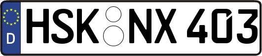 HSK-NX403
