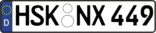 HSK-NX449