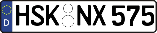 HSK-NX575