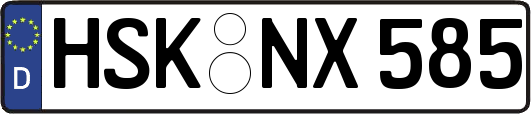 HSK-NX585