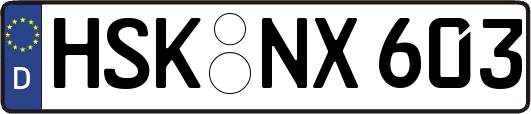 HSK-NX603
