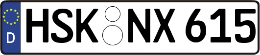 HSK-NX615