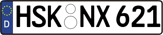 HSK-NX621