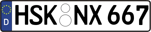 HSK-NX667