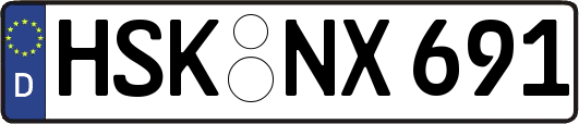 HSK-NX691