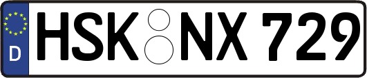 HSK-NX729