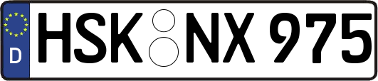 HSK-NX975