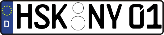 HSK-NY01