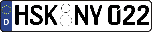 HSK-NY022