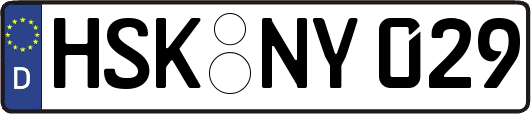 HSK-NY029